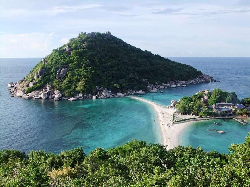 动物帮帮忙保卫家园