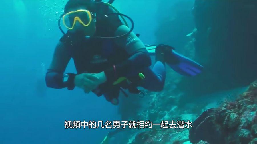 球球大作战下载最新版
