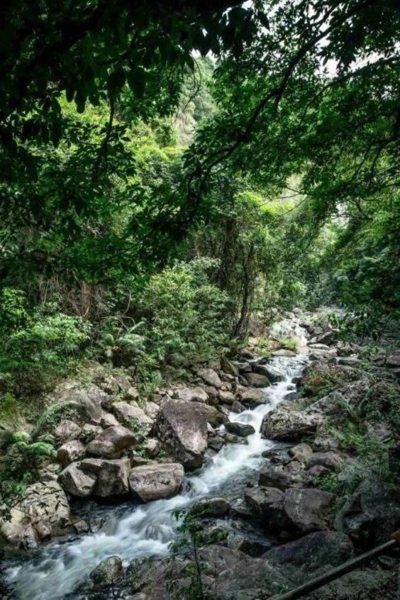 全民剧本大师内置菜单