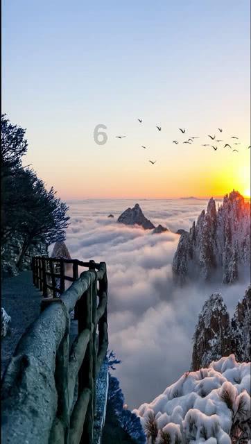 道士下山什么时候上映的?红迪网平台 - 探索与交流的聚集地
